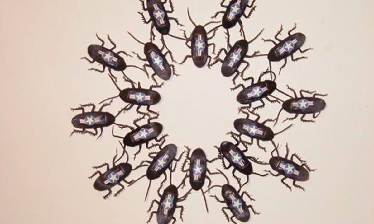Collage cucarachas, de la serie Electronicartes